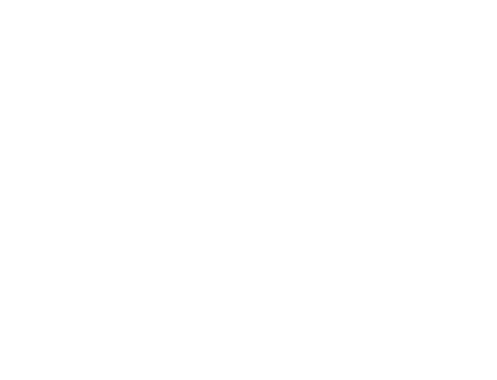 DoggyStep│愛犬のしつけ教室